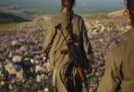 Valilik açıkladı: PKK, 3 teröristi ’ajan’ diye öldürüp kuyuya attı!