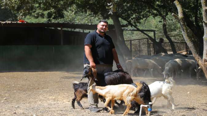 2 OĞLAKLA BAŞLADI, 500 HAYVANA ULAŞTI