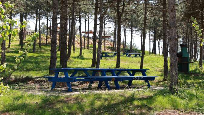 Başkan Büyükgöz yerinde inceledi