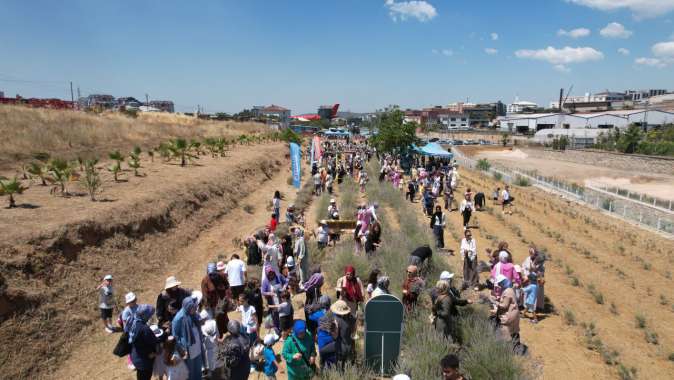 Çayırovalılar, lavanta hasadında bir araya geldi