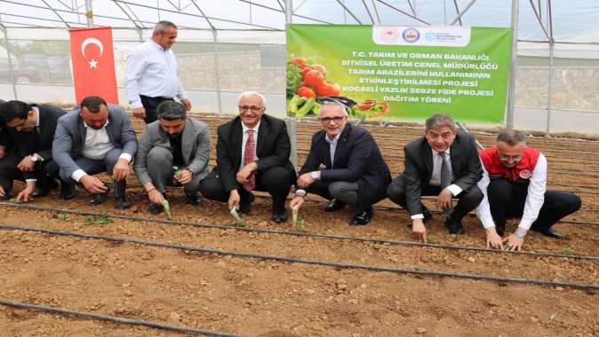 Gebzeli çiftçiye 500 bin sebze fidesi desteği