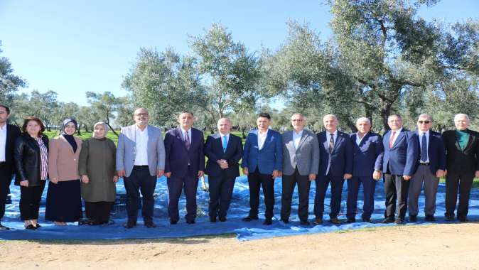 GTÜ Zeytinlikte Hasat Zamanı