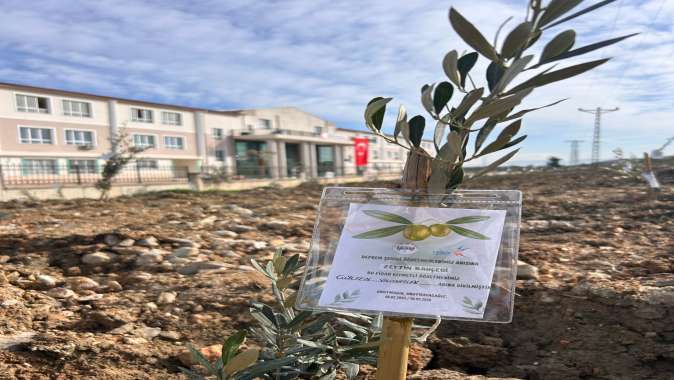 Hatay’a Depremde Yitirilen Öğretmenler İçin Zeytinlik