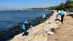Marmara İçin El Ele: Dilovası’ndan Çevreye Güçlü Mesaj