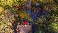 Sonbahar, huzurun adresi Ormanya’da bir başka