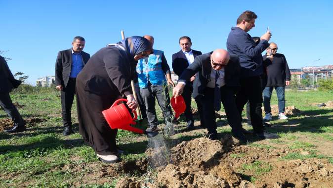 Zeytin Festivali’nde zeytin fidanları toprakla buluştu