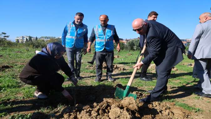 Zeytin Festivali’nde zeytin fidanları toprakla buluştu Zeytin Festivali’nde zeytin fidanları toprakla buluştu