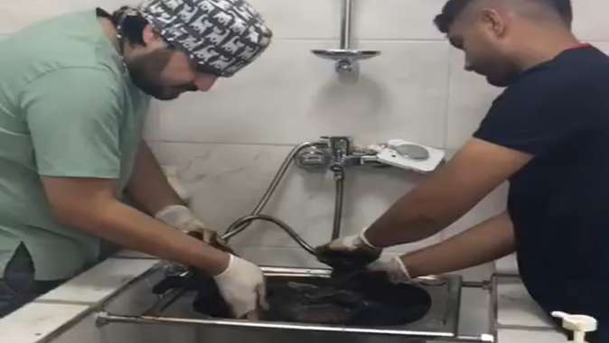 Zifte bulanmıştı, rehabilitasyon merkezinde yaşama tutundu Zifte bulanmıştı, rehabilitasyon merkezinde yaşama tutundu